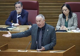 Joan Baldoví durante el debate de investidura.
