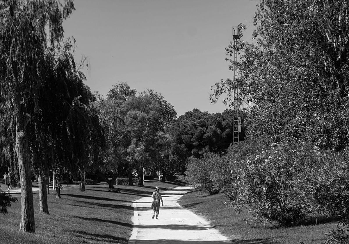 Una imprescindible investigación