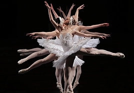 Gana una entrada doble para ver 'El lago de los cisnes' esta Navidad