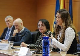 La comisionada del Gobierno para la Reconstrucción, Zulima Pérez, en un seminario de la CHJ tras la dana.