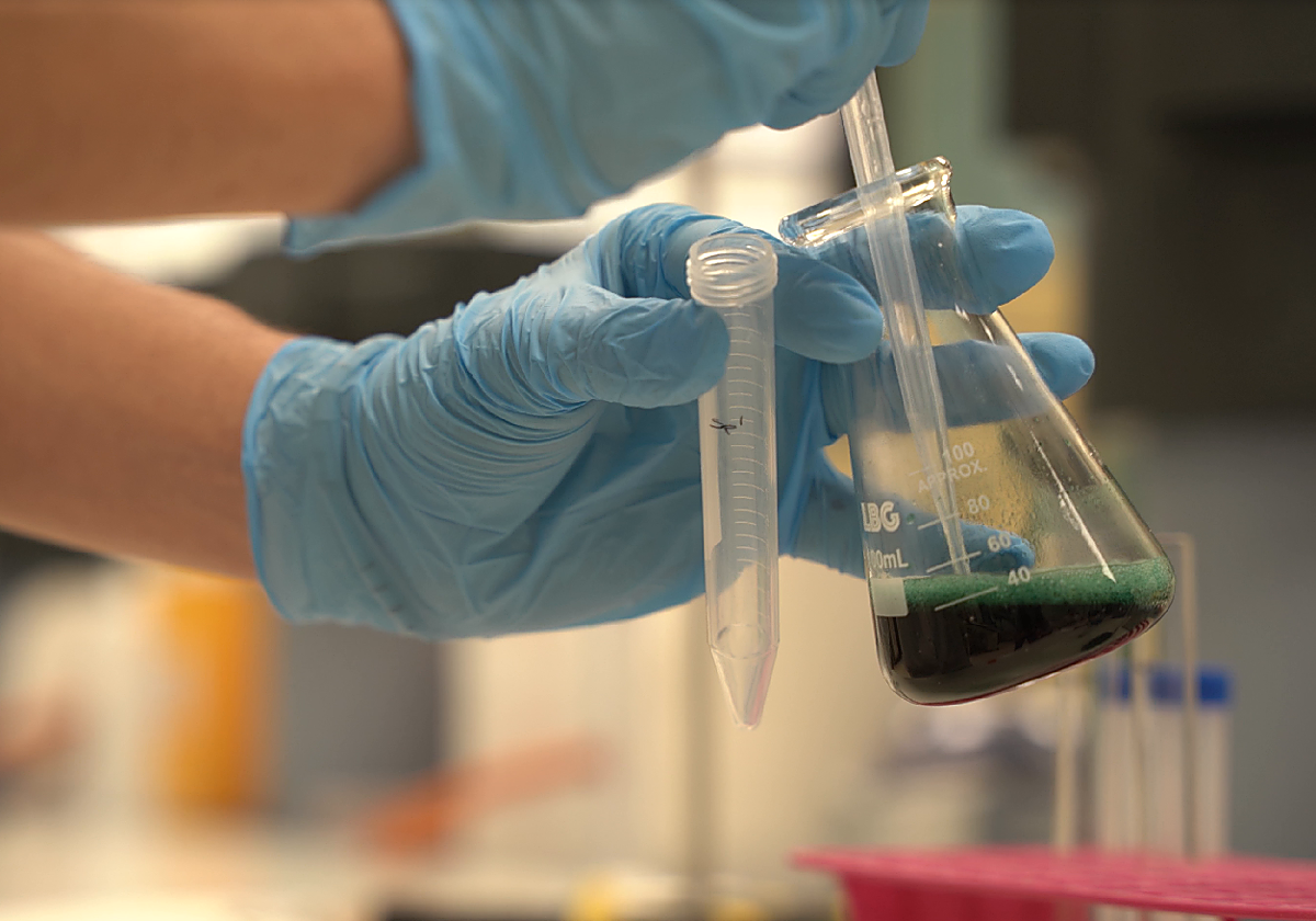 El nuevo título de la UCV que prepara a los biotecnólogos para el futuro digital del sector