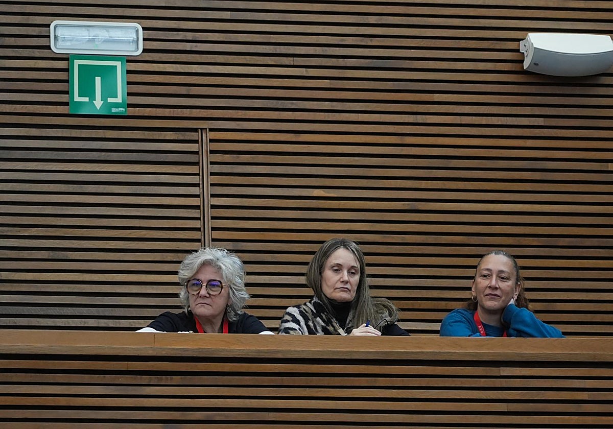 Víctimas de la dana, con Rosa Álvarez en el centro, en el debate de investidura de Pérez Llorca.