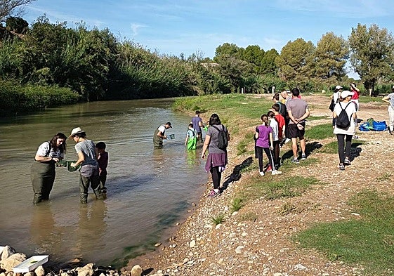 Jornada en Pedralba organizada por la Fundación Limne en el río Turia.