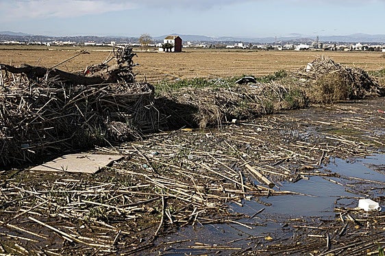 Estado de la Albufera en el término de Catarroja, tres meses después de la dana.