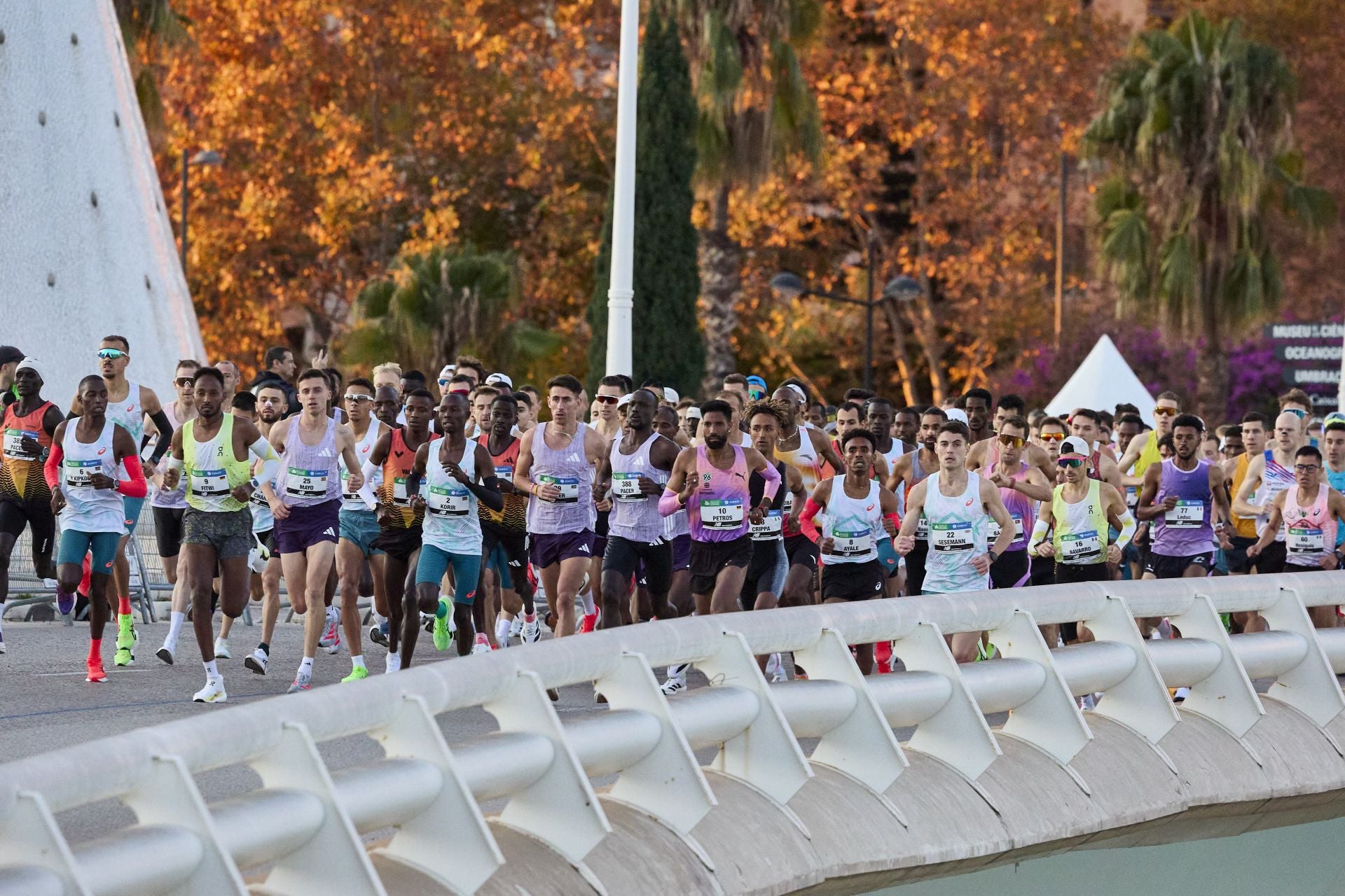 Fotos de la salida del Maratón de Valencia
