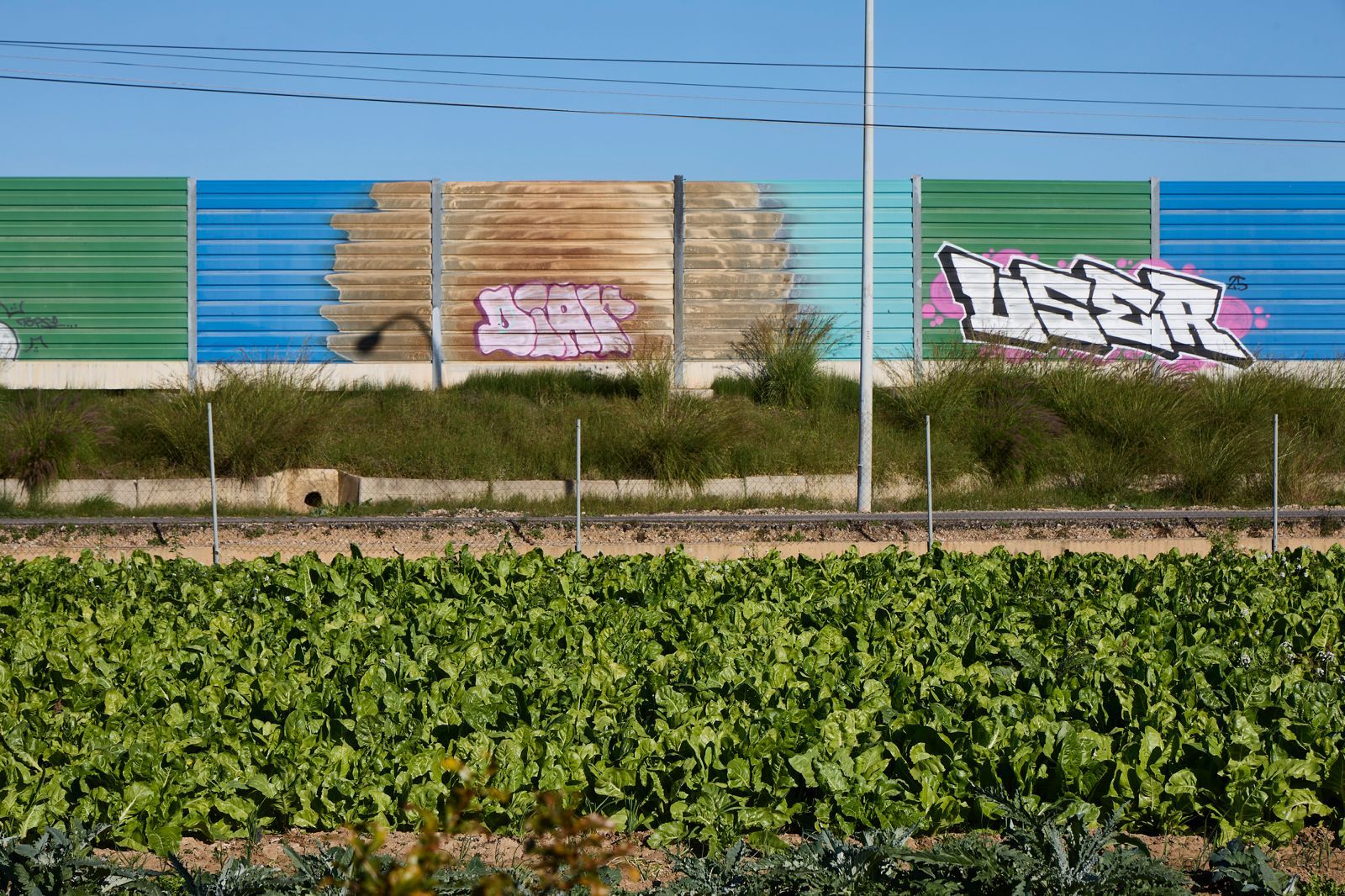 FOTOS | La Festa de l&#039;Horta regresa a Horno de Alcedo