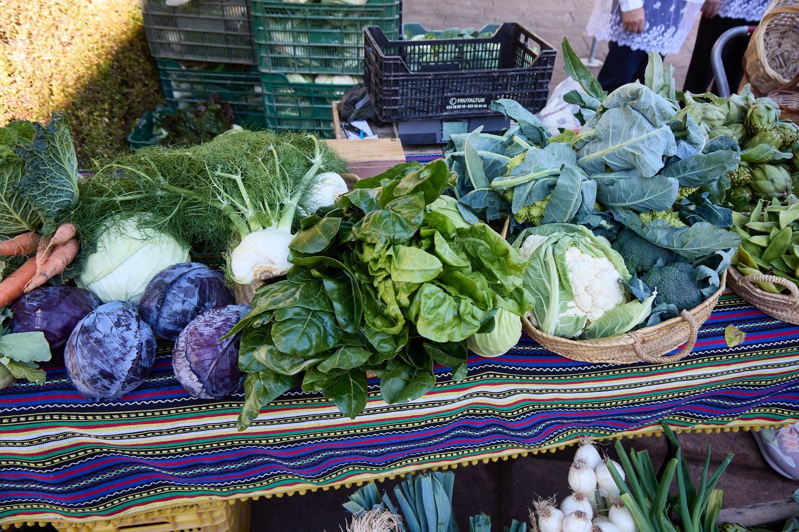 FOTOS | La Festa de l&#039;Horta regresa a Horno de Alcedo