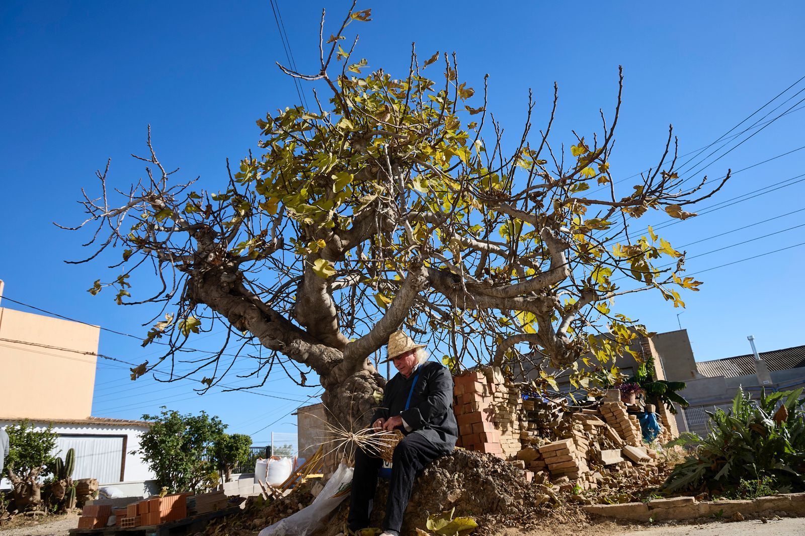 FOTOS | La Festa de l&#039;Horta regresa a Horno de Alcedo