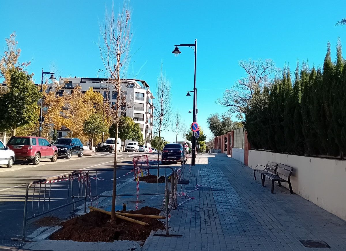 El nuevo arbolado que se está plantando en la localidad.