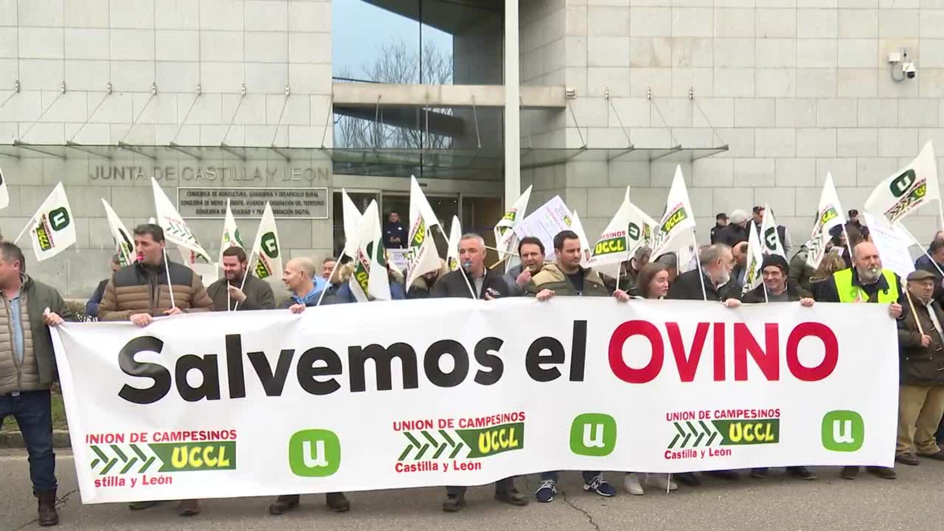 UCCL avisa que, si bajan los precios de la leche de ovino, el 50% de las explotaciones cerrarán