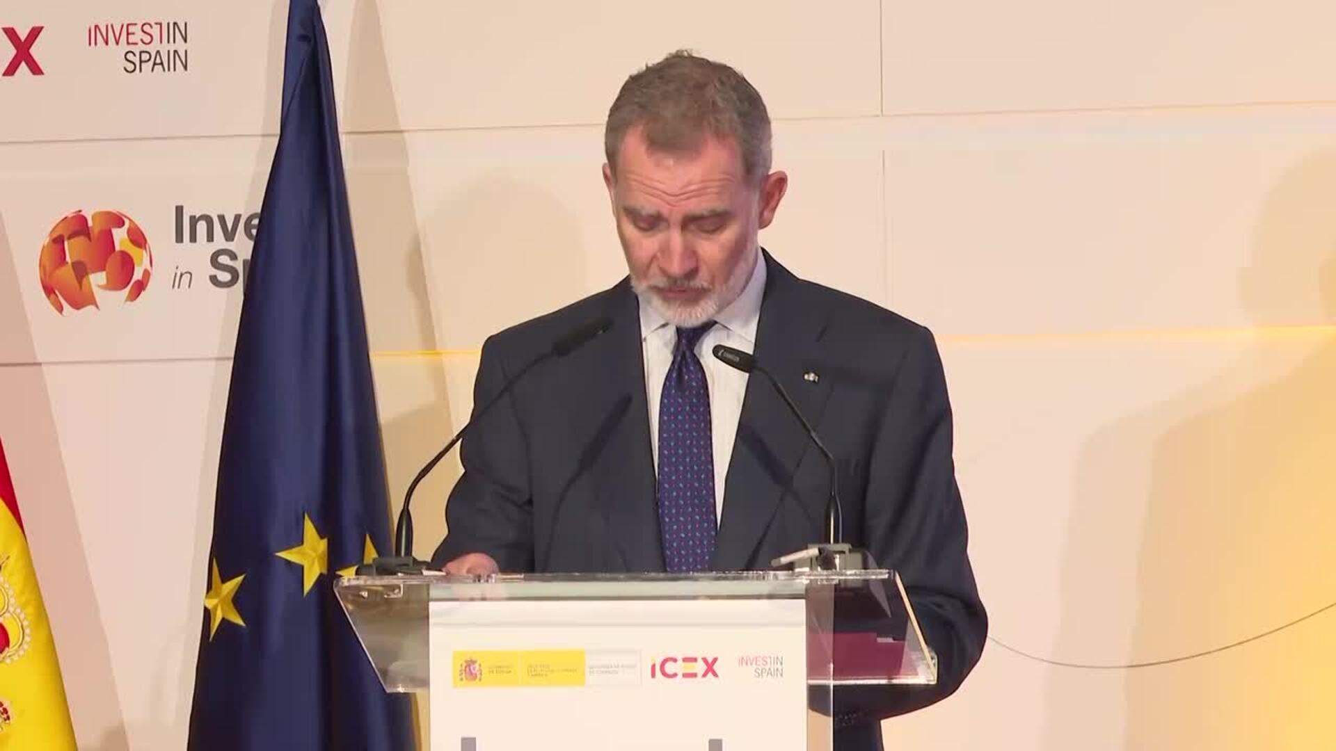 El rey destaca que España da "pasos importantes" para proteger su estructura productiva