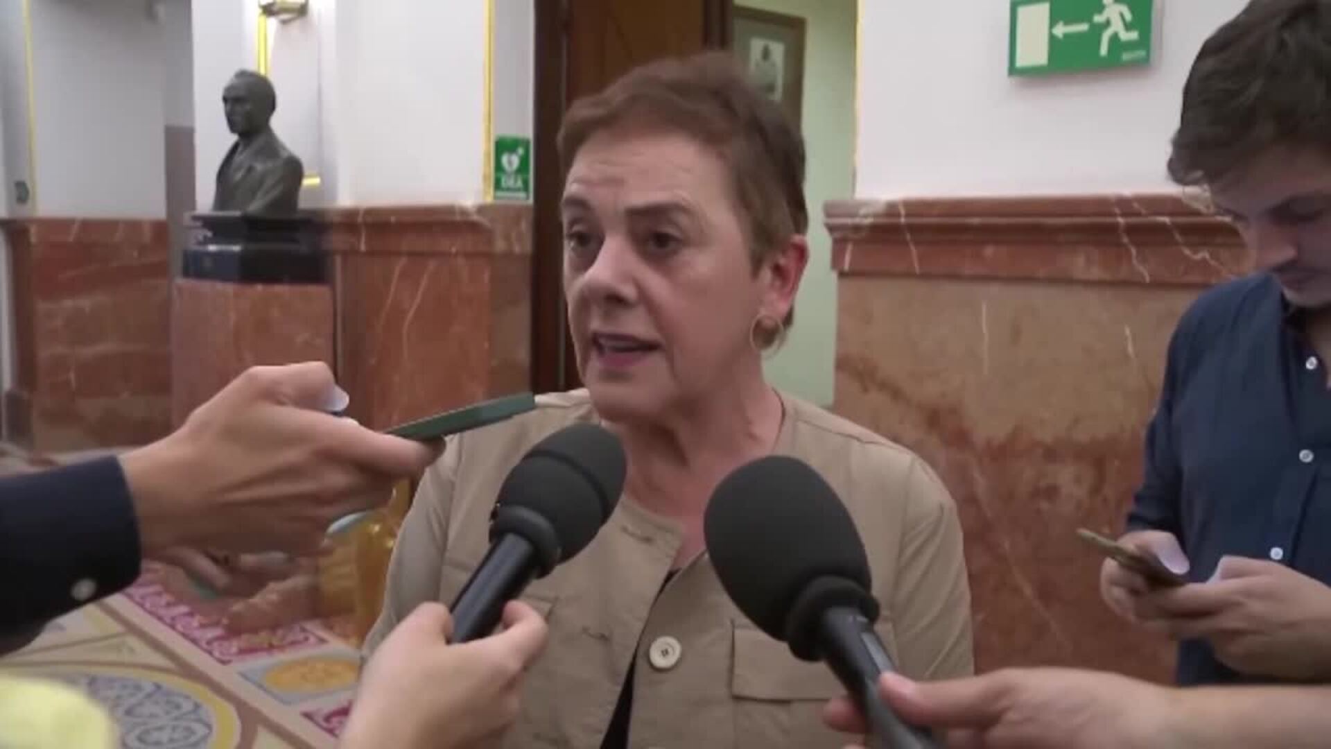 Bildu ve "lógico" que el TC avale la ley de amnistía del procés