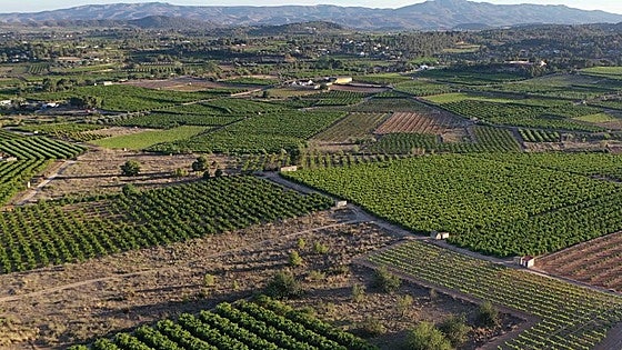 Godelleta cambia el Plan General para blindar el paisaje contra la eclosión de plantas solares