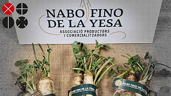 El nabo de la Yesa se resiste a desaparecer