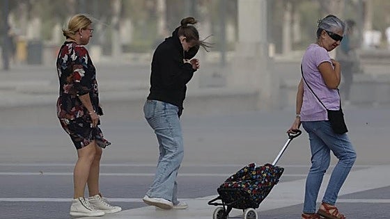 Las localidades de la Comunitat Valenciana donde ha hecho más viento este jueves: hasta 117 km/h
