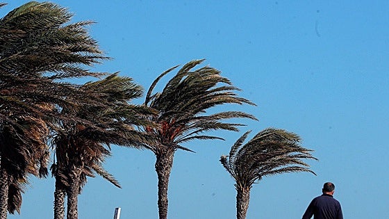 AEMET activa la alerta amarilla este lunes por fuertes rachas de viento y anuncia lluvias en la Comunitat