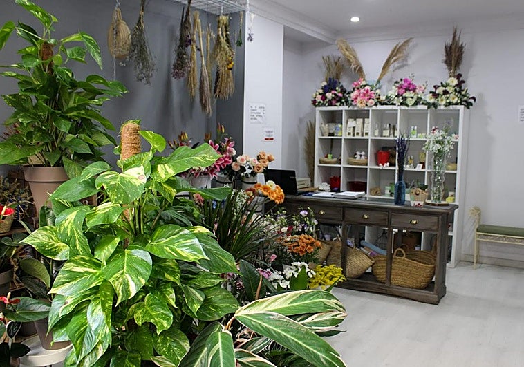 Quart dará hasta 600 euros a comercios locales que impulsen el valenciano