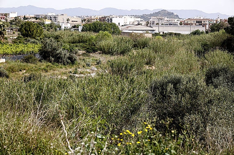Barrancos golpeados por la dana, la tierra aún se acumula un año y medio después