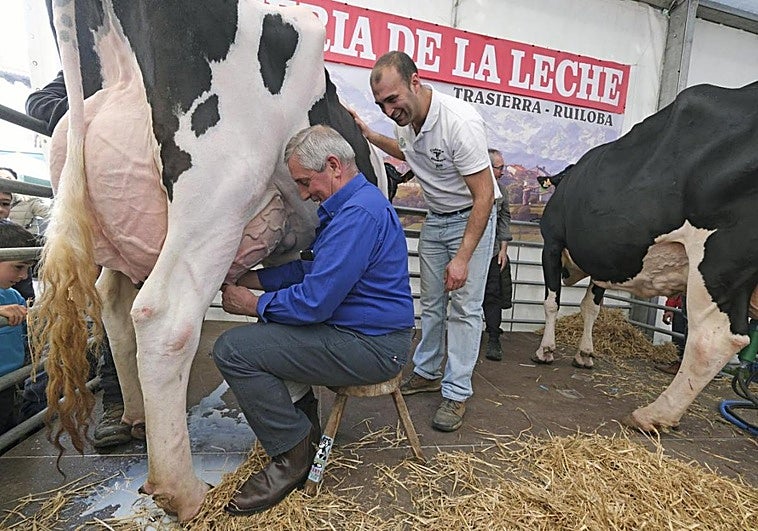 Con los precios de la leche, el Gobierno se pone de perfil