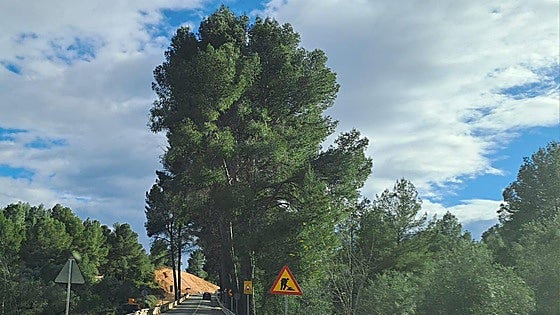 Yátova pide una alternativa que evite el corte total de la calzada entre Buñol y Alborache