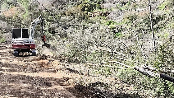 Vilamarxant retira 300 árboles caídos por la dana en el Parque del Turia