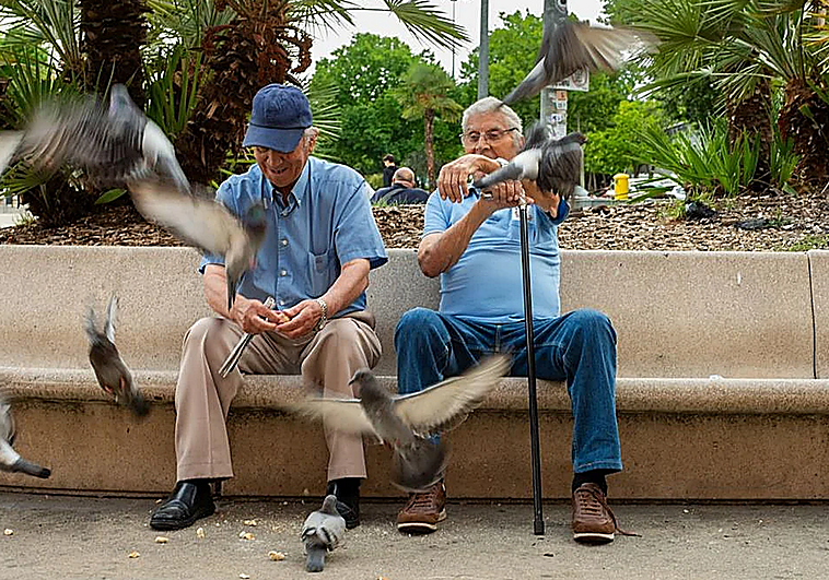 Cómo acceder al simulador de jubilación y obtener un informativo: un funcionario lo aclara