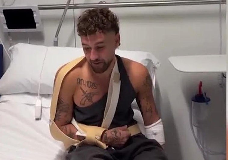 De Dani Fernández a Leonard Cohen, los 'caídos' en los conciertos en Valencia