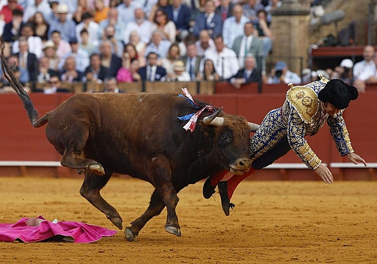 Morante sufre una cogida en la Maestranza de Sevilla