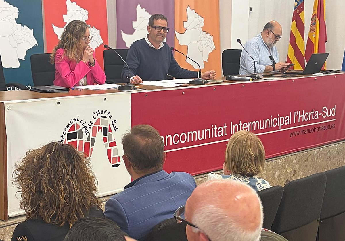La Mancomunitat de l'Horta Sud aprueba sus cuentas para este año | Las ...