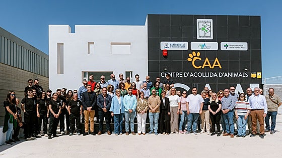 200 animales recogidos en tres meses por el centro de acogida de Tavernes