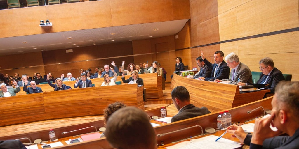 Por qué el pleno de la Diputación de este martes bate todos los récords