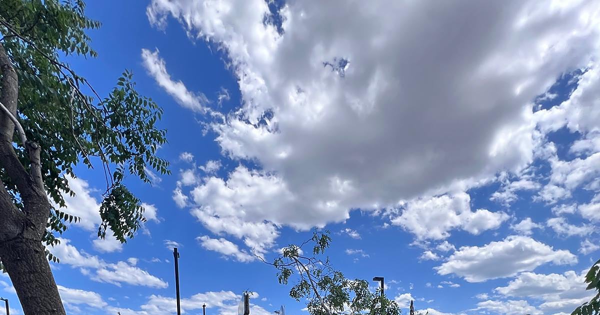 Susto junto a la estación Joaquín Sorolla: cae un árbol sobre una moto en la zona peatonal