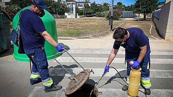 Torrent intensifica el tratamiento del alcantarillado para prevenir plagas