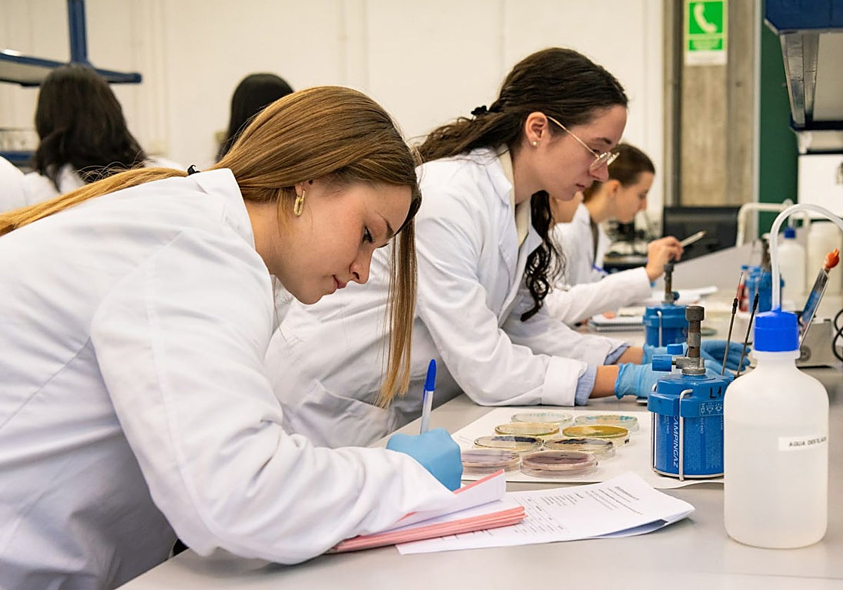 Las mujeres ganan terreno en las STEM y refuerzan el futuro tecnológico