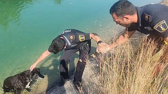 Rescatan a un perro que se había caído en un canal en Guadassuar