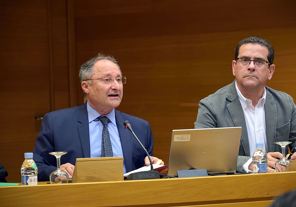 El PP suspende de militancia a Bellver tras confirmar su pro