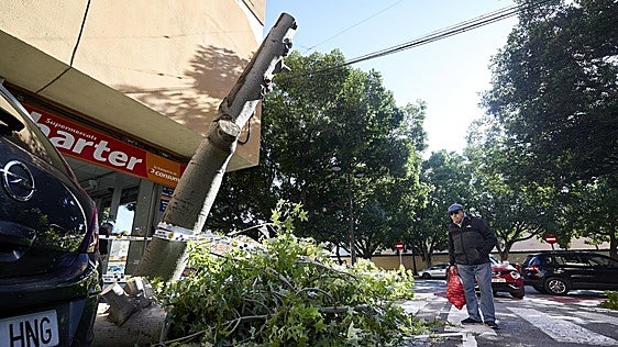 Un reventón térmico en la Canal de Navarrés provoca la caída de ramas y el corte de la luz y el teléfono: «Era un huracán que quemaba»