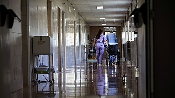 El hospital Militar de Mislata, afectado por la presencia de hormigas y cucarachas