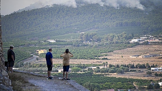 Preocupación por el Montí, la emblemática montaña de Sierra de Espadán
