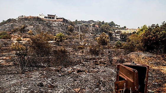La impunidad de quien quema el bosque: condenas mínimas para desastres ecológicos