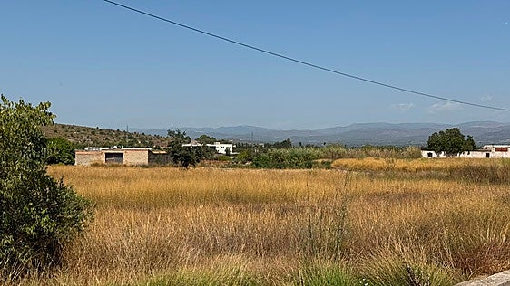Llíria abre 422 expedientes sancionadores por no limpiar parcelas y solares