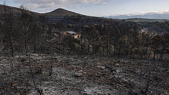 El incendio forestal de la Calderona se da por controlado seis días después de la caída de un rayo