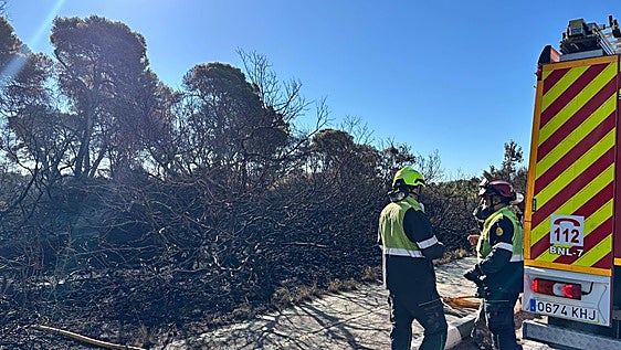 El Saler regresa a casa con el miedo en el cuerpo tras el incendio que arrasa 36 hectáreas