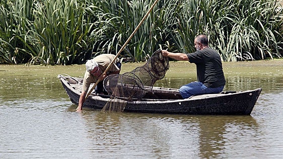 La Comunidad de El Palmar reclama la protección de los pescadores en la Albufera