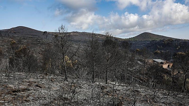 El Consell extiende a Tirig, Segorbe y Gátova las ayuda urgentes por los incendios