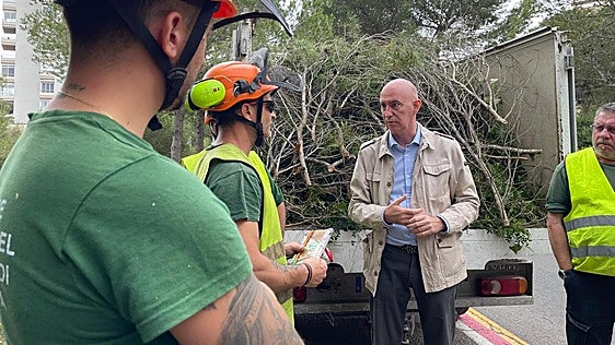 El Ayuntamiento de Valencia defiende el incremento de la poda preventiva junto a edificios en la Devesa