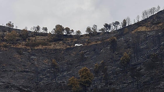 La Generalitat solicitará al Gobierno la declaración de zona catastrófica para los municipios afectados por los últimos incendios en la Comunitat