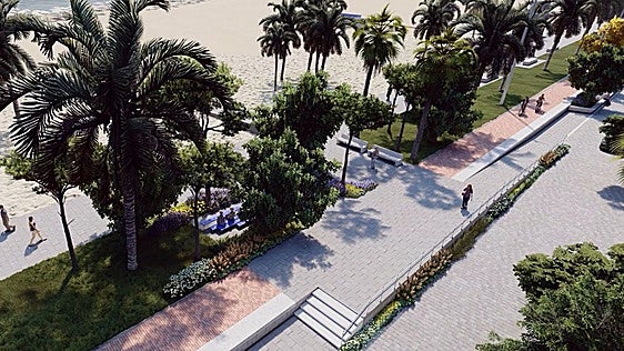 Gandia duplicará el arbolado en el paseo marítimo para crear un refugio climático
