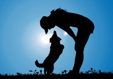 Así afectará el eclipse del 12 de agosto a los perros y gatos