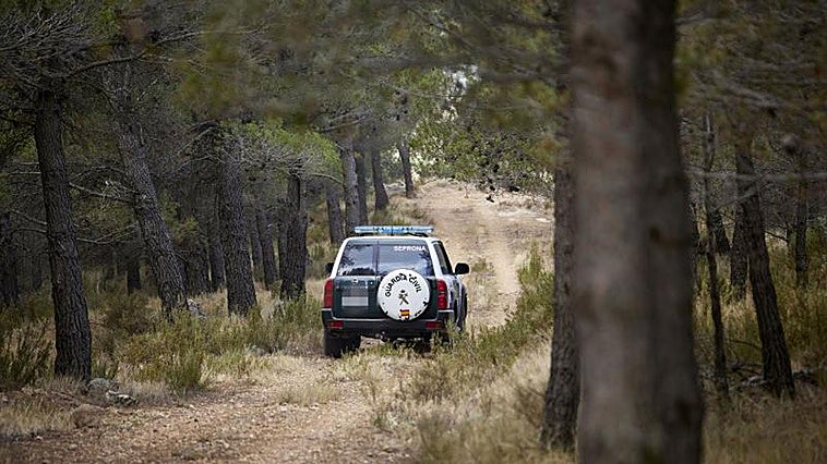 Investigan a 41 personas por delitos contra la ordenación del territorio en la provincia de Castellón